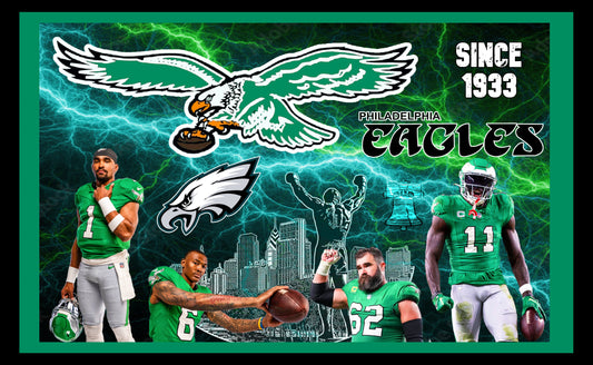 Philadelphia Eagles Fleece Team Blanket Electric Sky Version